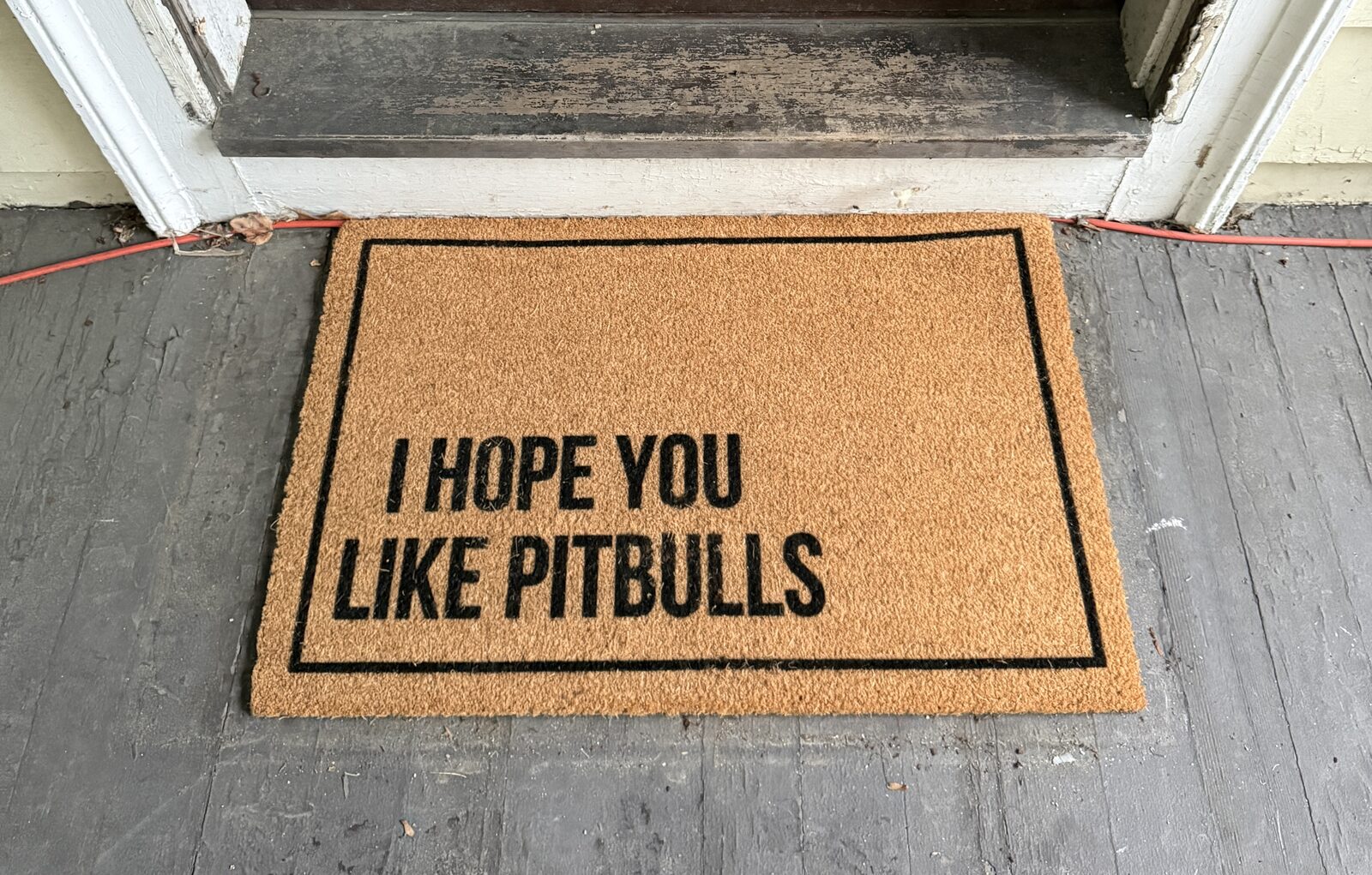 I hope you like pitbulls