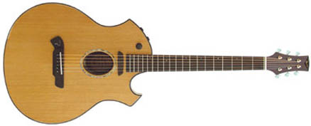 Parker acoustic…