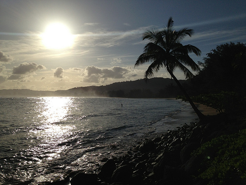 Home Again…